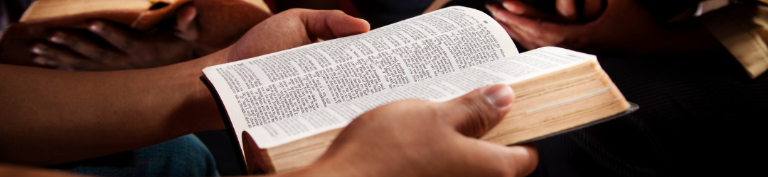 bible study